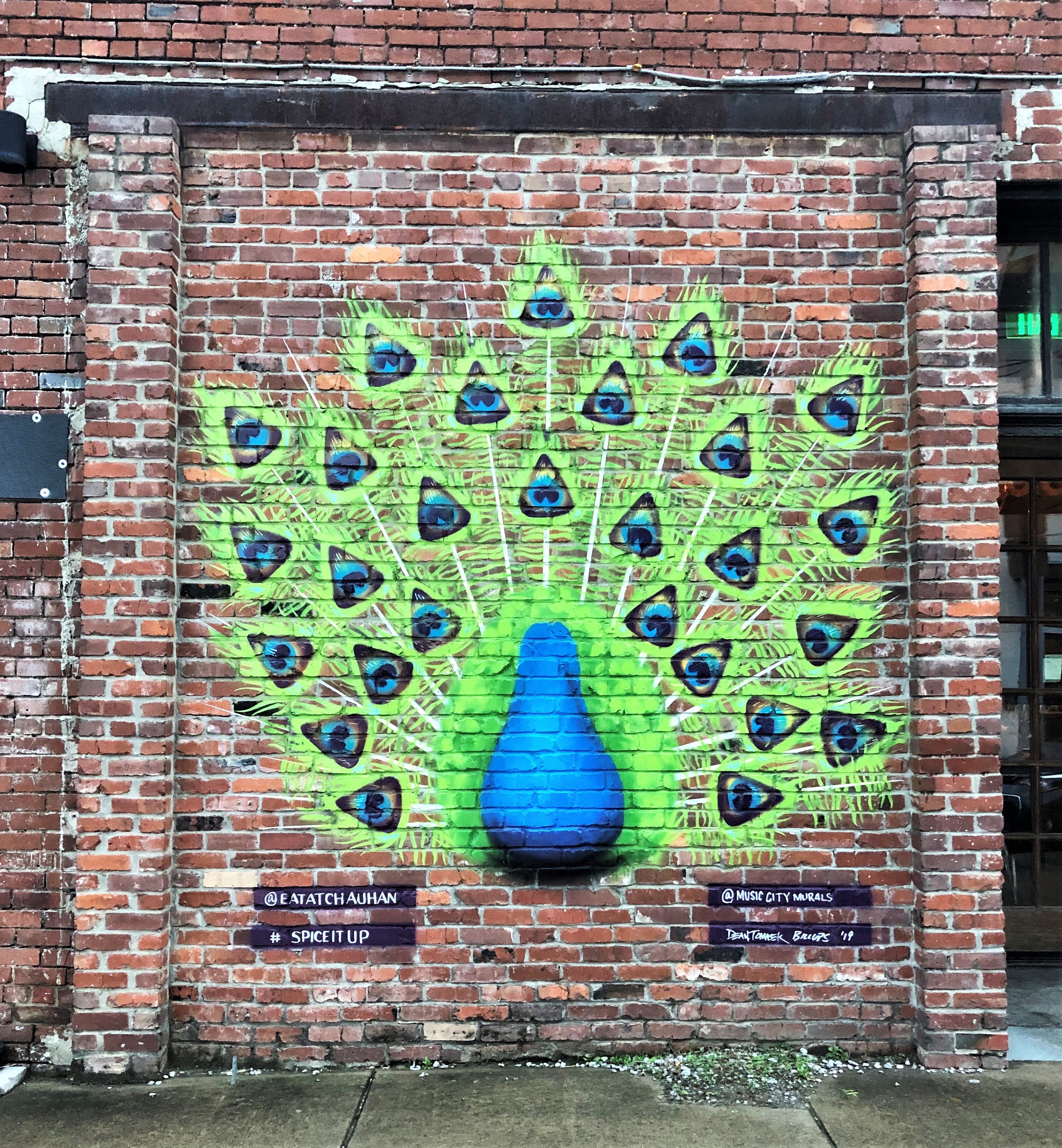 Chauhan Peacock nashville public art